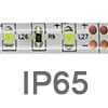 IP65